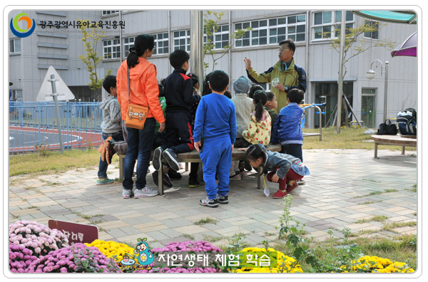 자연생태3 사본(1).jpg